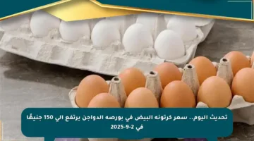 تحديث اليوم.. سعر كرتونة البيض في بورصة الدواجن يرتفع إلى 150 جنيهًا في 2-9-2025